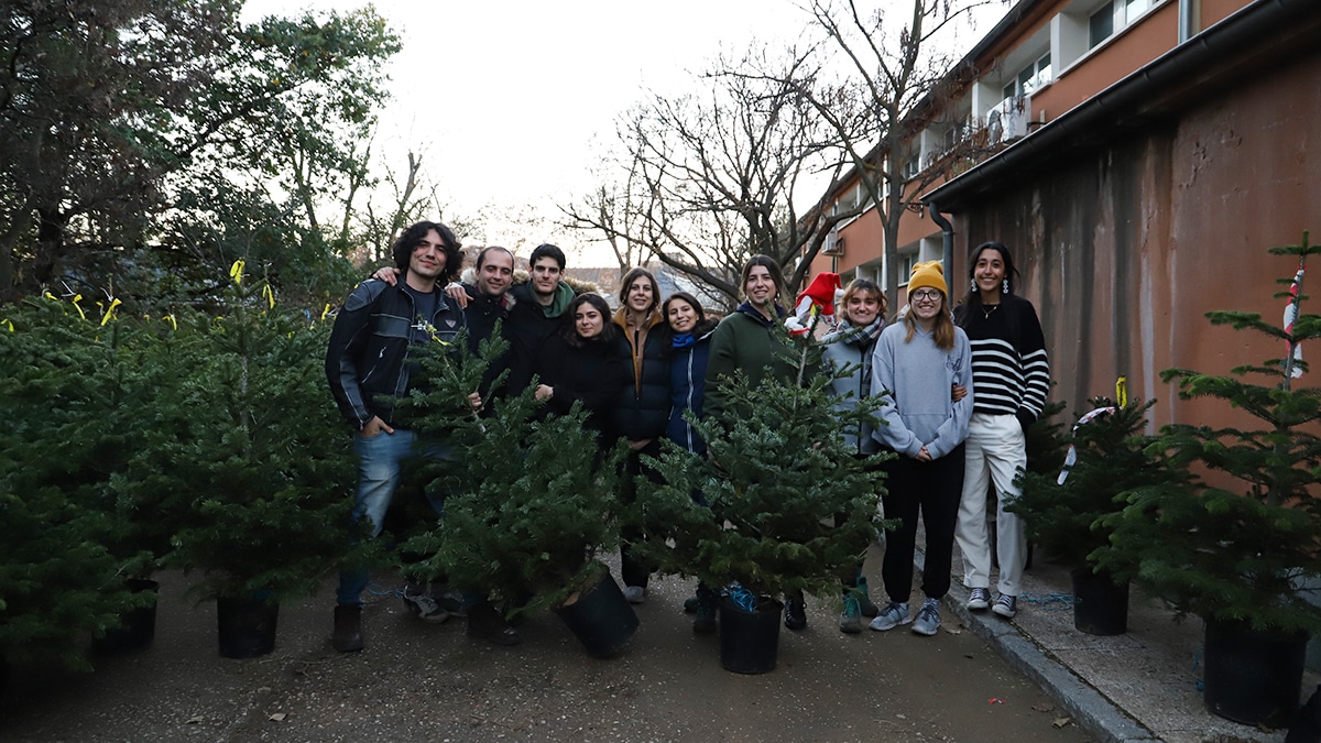 Estudiantes de las Escuelas Técnicas Superiores de Ingenieros de Montes, Agrónomos y de la Escuela Universitaria de Ingeniería Técnica Forestal de Madrid vendiendo abetos naturales