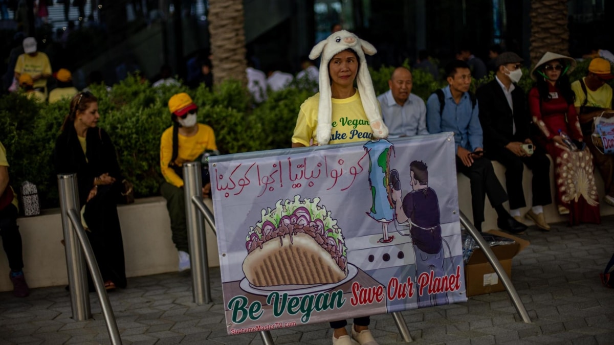 Una persona se manifiesta en frente del Expo City Dubai, donde se celebra la COP28.