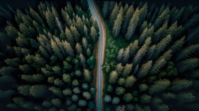 Biocombustibles, la energía del futuro que ya mueve motores 