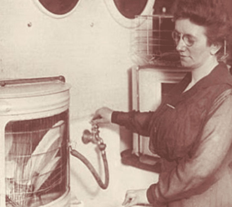 Josephine Cochrane, la viuda que inventó el lavavajillas para salir de la pobreza