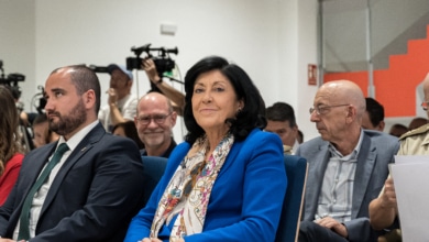 Casteleiro en la picota