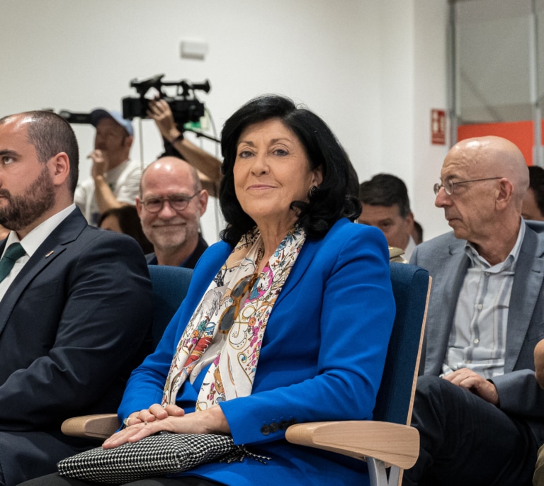 Casteleiro en la picota