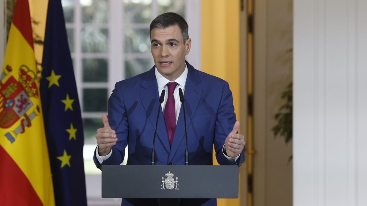 Balance del año de Pedro Sánchez.