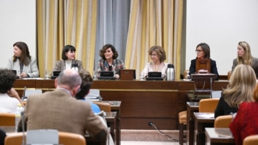 El PSOE presidirá 11 de las 28 comisiones legislativas en el Congreso