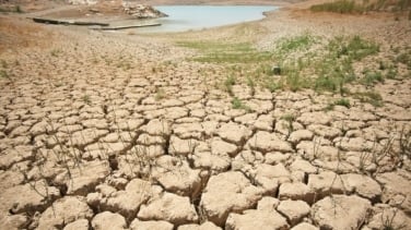La sequía en España fue la novena catástrofe climática más grave de 2023