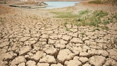 La sequía en España fue la novena catástrofe climática más grave de 2023