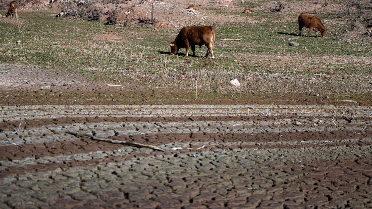 Cataluña inicia restricciones por la sequía