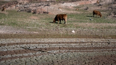 Cataluña decreta la emergencia por sequía para 6 millones de personas