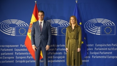 Los ladridos de un perro interrumpen a Sánchez en el Parlamento Europeo