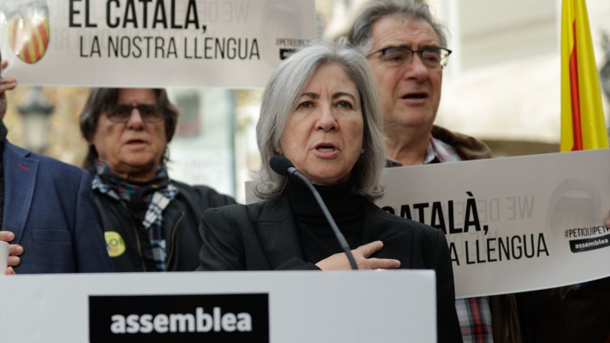 El Parlamento Europeo denuncia  las presiones a los padres que reclaman el castellano en Cataluña