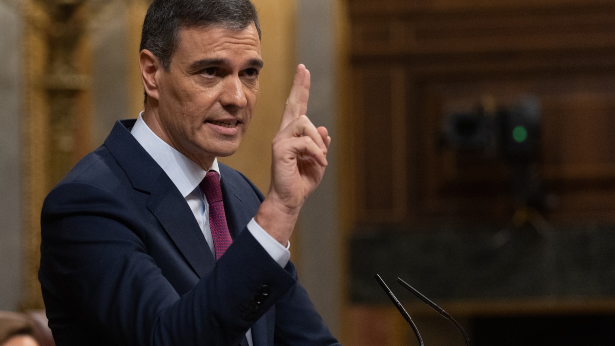 El presidente del Gobierno, Pedro Sánchez, interviene durante un pleno en el Congreso de los Diputados