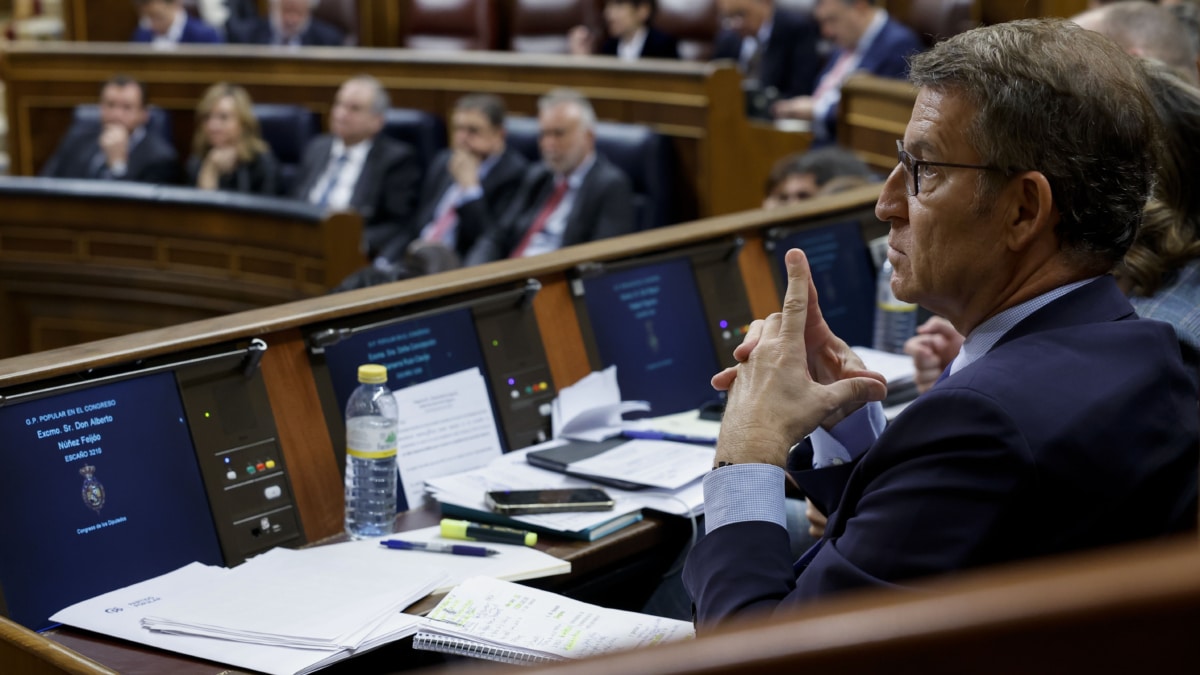 El presidente del PP, Alberto Sánchez Feijóo, durante la sesión de Control al Ejecutivo que celebra el Congreso este miércoles .