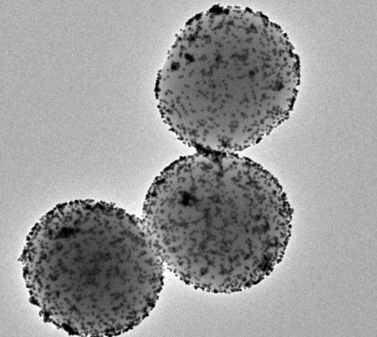 Un estudio español revela que los nanorobots reducen en un 90% los tumores de vejiga