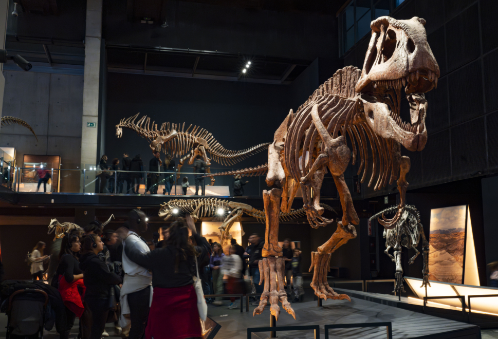 Panorámica de la exposición 'Dinosaurios de la Patagonia' en el Museo CosmoCaixa.