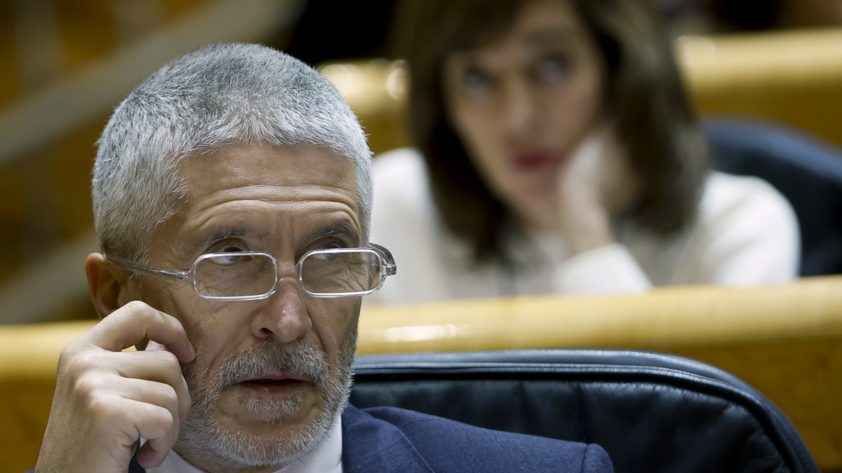 El ministro del Interior, Fernando Grande-Marlaska, al inicio del pleno del Congreso, reunido excepcionalmente en el Senado, la semana pasada (Efe).