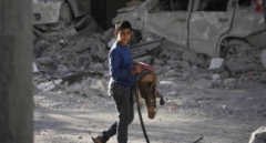 La acusación de genocidio en Gaza llega a la Corte Internacional de Justicia, en diez claves