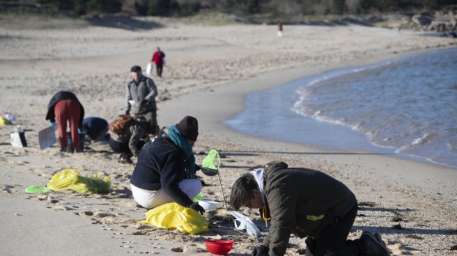Voluntarios recogen microeplásticos o pellets, que han aparecido en toda la costa atlántica de Galicia, este domingo en la Playa de A Lanzada en O Grove.