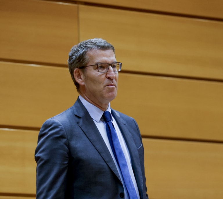 El PP pide la dimisión de una diputada de Sumar por compartir un mensaje que llama "sunnormal" a Feijóo