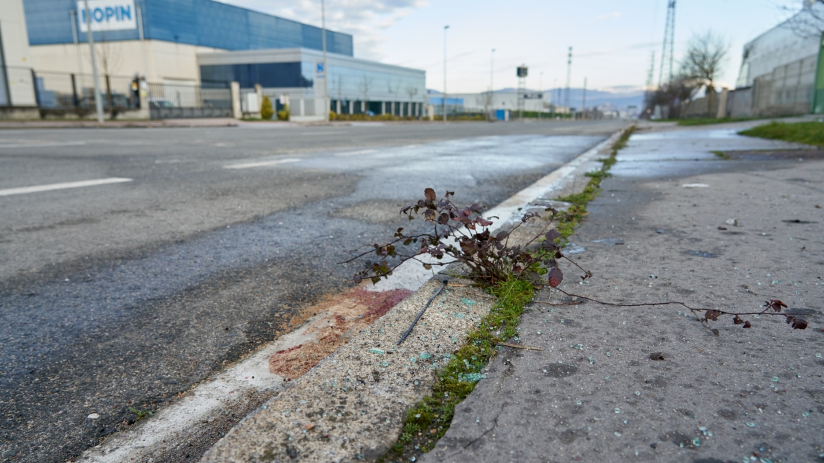 Lugar donde han muertos dos jóvenes de 18 y 21 años en un accidente en Vitoria