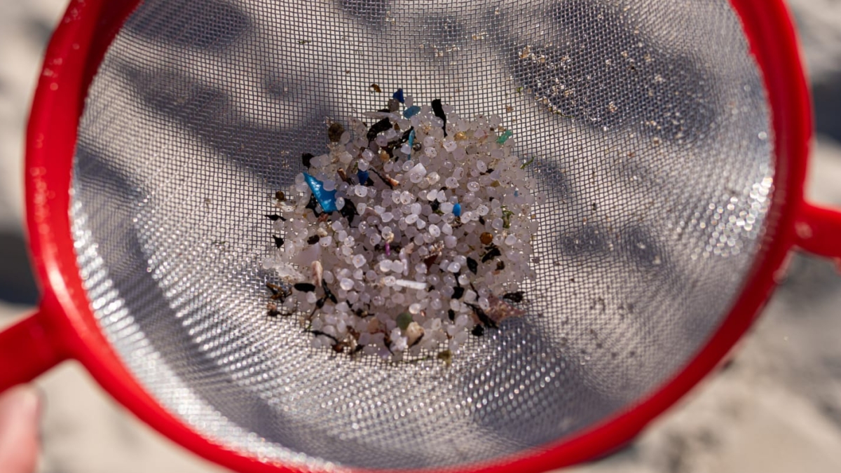 Recogida de pellets en Galicia.