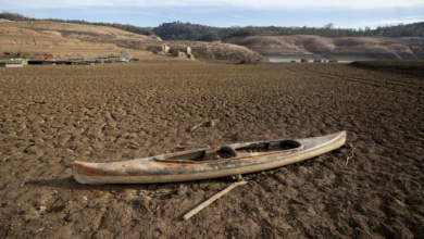 El "tobogán climático" que apuntala la sequía y pone en riesgo las cosechas