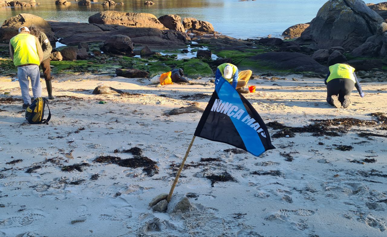 Voluntarios de Greenpeace recogen pellets en las playas de Galicia.