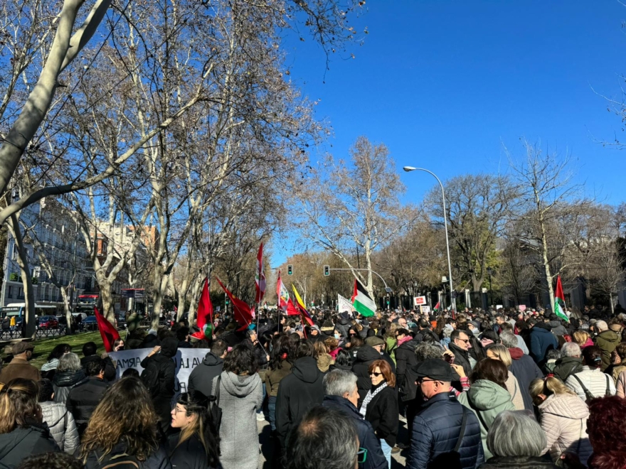 Imagen de la manifestación en apoyo a Palestina en Madrid