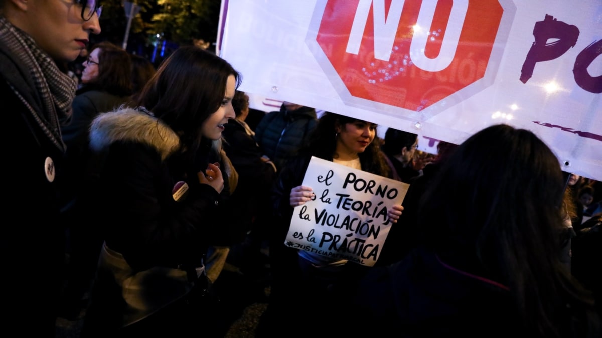 Una mujer sostiene un cartel en el que se lee 'El porno es la teoría, la violación es la práctica', en la manifestación en Madrid con motivo del Día Internacional para la Eliminación de la Violencia contra las Mujeres