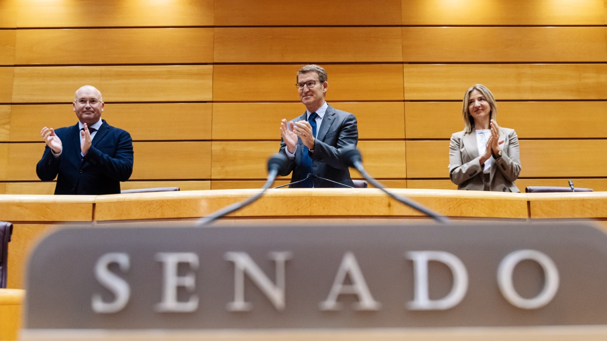 El PP forzará en el Senado la celebración de más plenos para convertirlo en ariete del Congreso