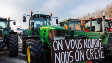 La mitad de las frutas y hortalizas que importa la UE de Marruecos van a Francia