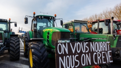 La mitad de las frutas y hortalizas que importa la UE de Marruecos van a Francia