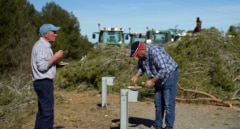 El colapso del campo español: tierras en menos manos y con agricultores mayores de 65 años