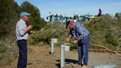 El colapso del campo español: tierras en menos manos y con agricultores mayores de 65 años