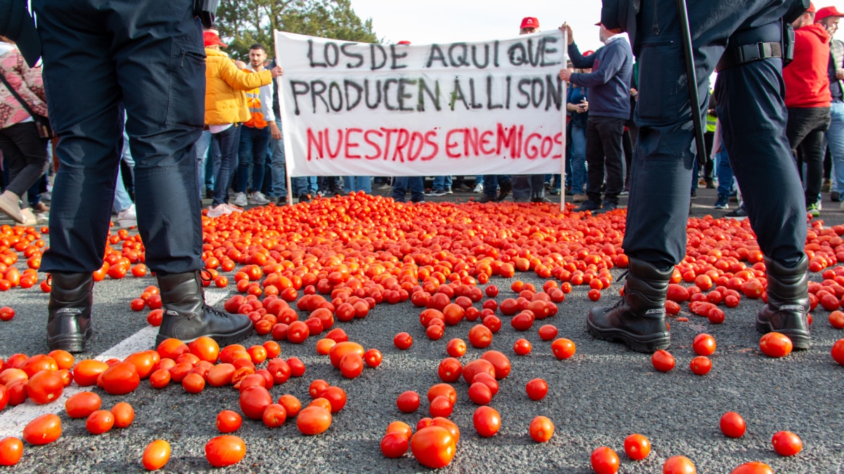 Agricultores arrojan tomates durante una concentración el puerto de Motril (Granada) este miércoles 14 de febrero