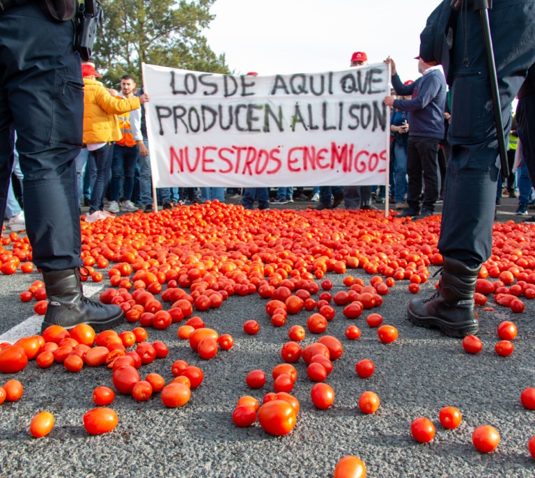 Los tomates y melones del Sáhara Occidental deben etiquetarse con su "país de origen" y no como de Marruecos