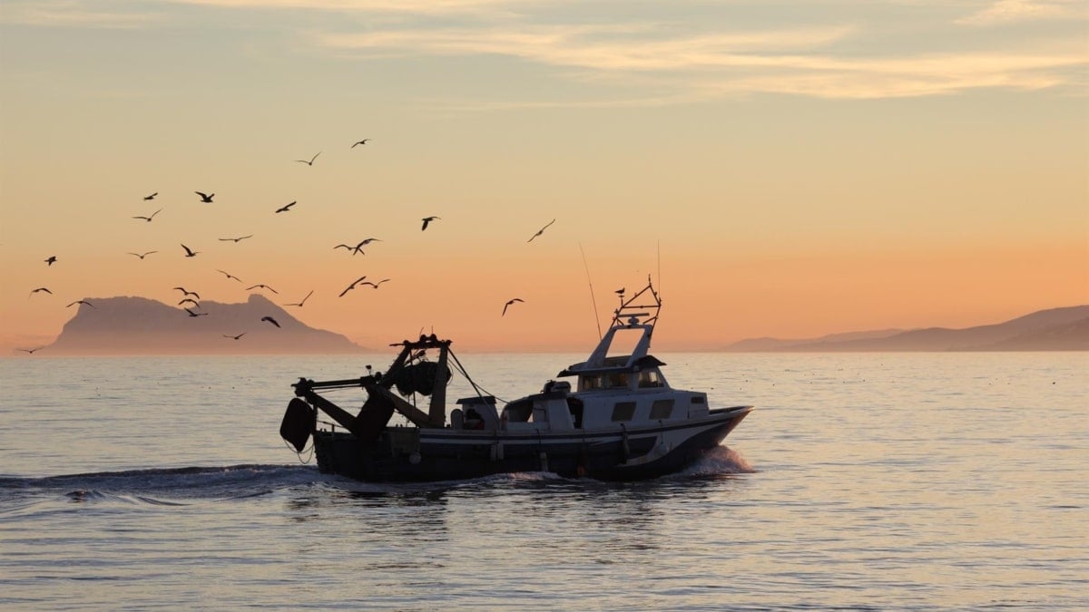 Barco de pesca de la flota andaluza.