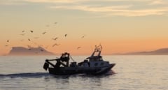 La otra crisis de Barbate: la pesca artesanal agoniza en el paraíso del atún rojo