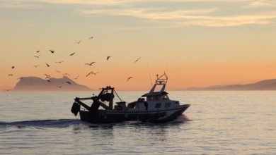 La otra crisis de Barbate: la pesca artesanal agoniza en el paraíso del atún rojo