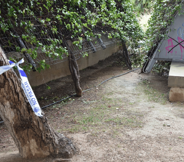 Hallan el cadáver del bebé desaparecido en Zaragoza y detienen a su madre