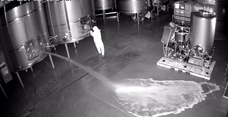 Vídeo de la persona que asaltó la bodega Cepa 21.