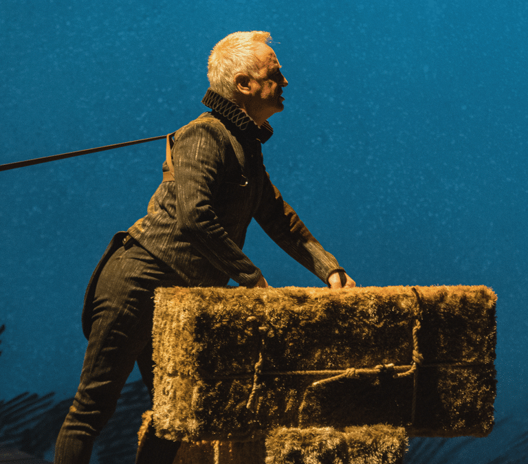 'Burro': rebuznos que golpean el corazón