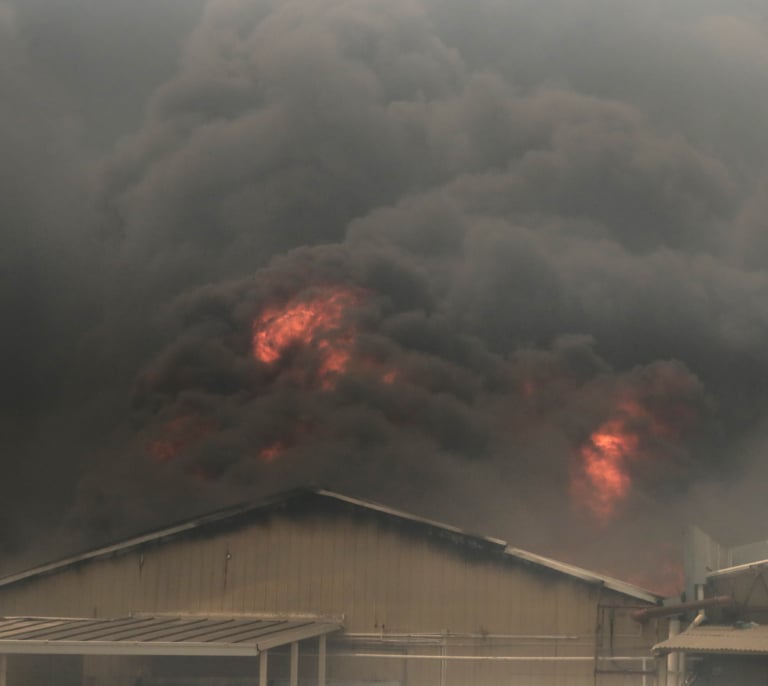 Incendios en Chile: decenas de muertos y más de 10.000 hectáreas arrasadas