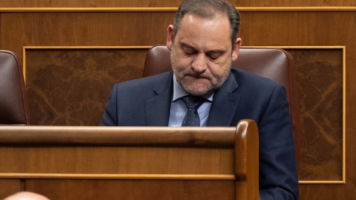 El exministro de Transportes y diputado del PSOE José Luis Ábalos durante una sesión plenaria, en el Congreso de los Diputados.