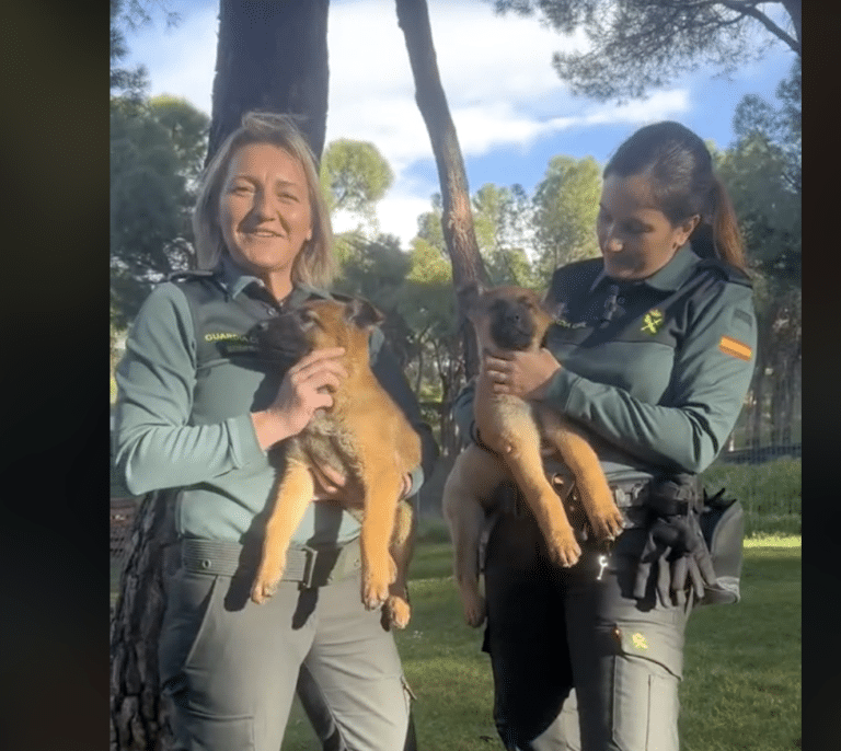 La Guardia Civil pone en marcha un programa de acogida temporal de crías de perro