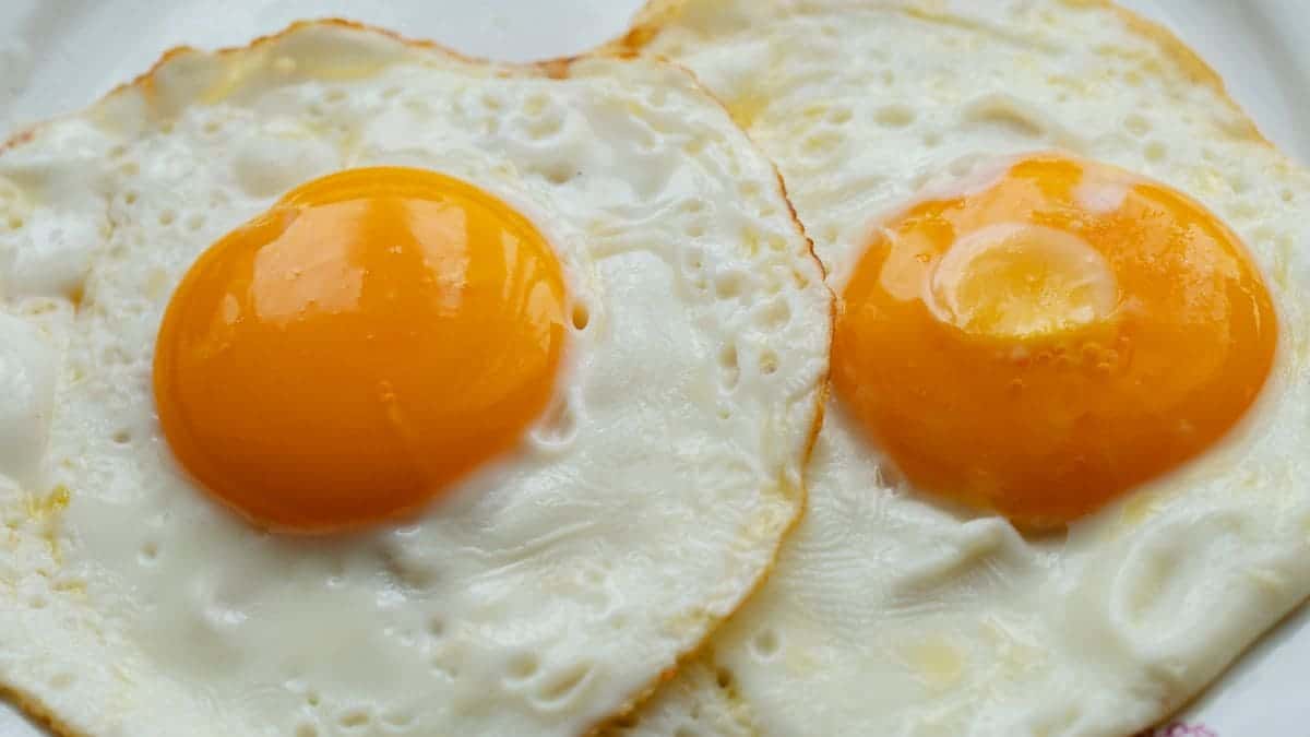 La OMS y el número de huevos que debes comer a la semana