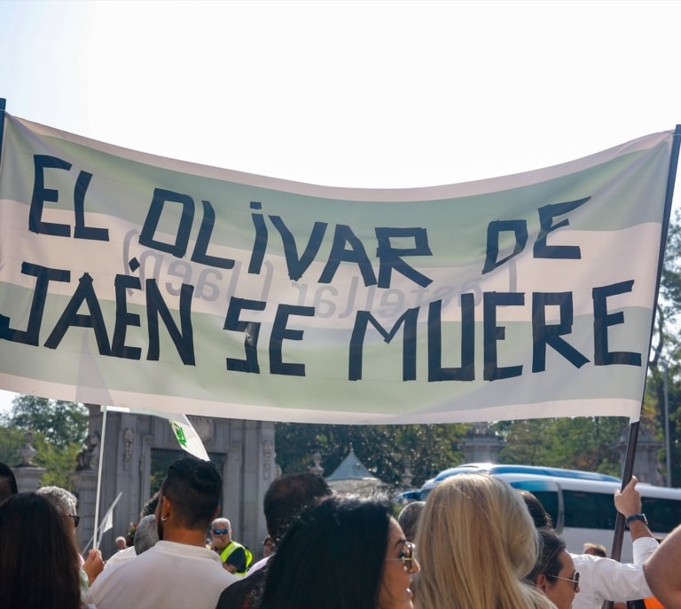 Jaén, la única provincia que destruye empleo desde la pandemia