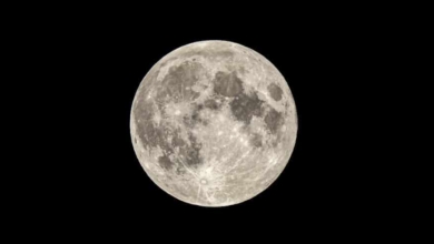 Calendario lunar de marzo 2024: ¿Cuándo hay luna llena?