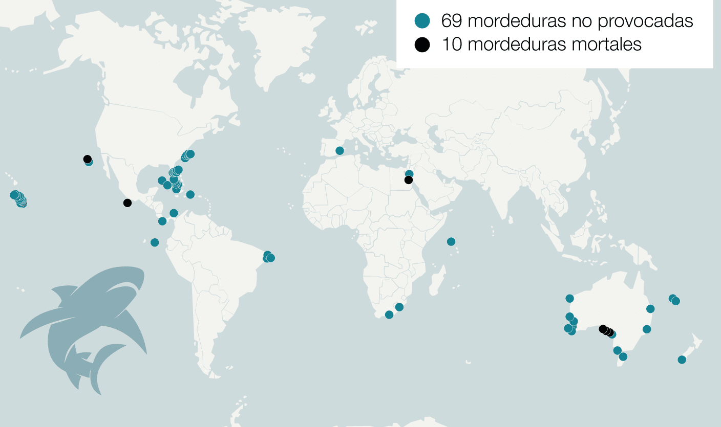 Mapa mordeduras de tiburones en el mundo