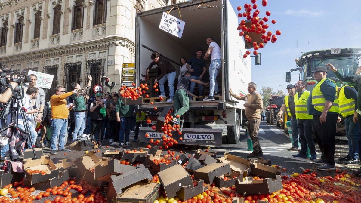 Decenas de agricultores se han congregado este miércoles en Murcia capital.