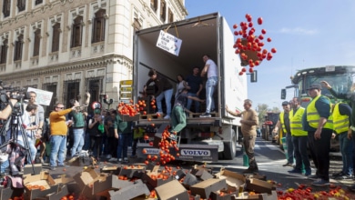 Cabreo en el campo: España trajo del extranjero un 12% más de frutas y hortalizas el año pasado